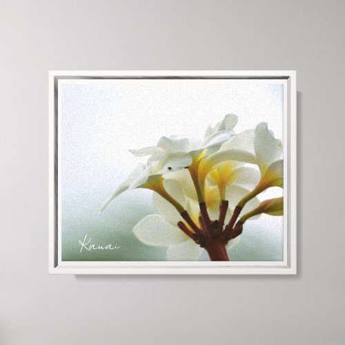 White Plumeria Flowers Kauai (photo taken by me) Canvas Print
