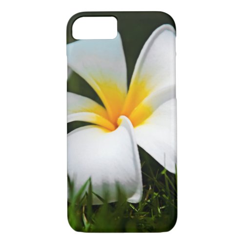 White Plumeria Frangipani Hawaii Flower iPhone 87 Case