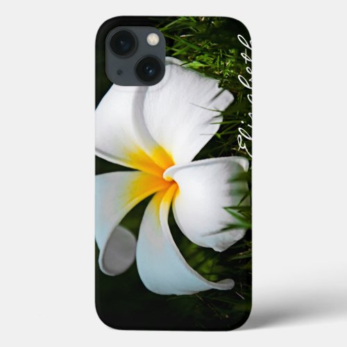 White Plumeria Frangipani Hawaii Flower iPhone 13 Case