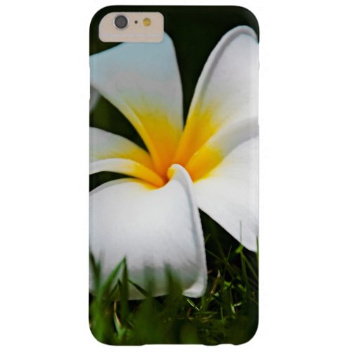 White Plumeria Frangipani Hawaii Flower Barely There iPhone 6 Plus Case