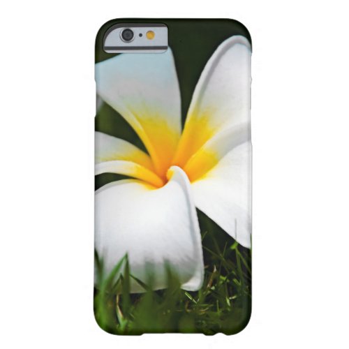 White Plumeria Frangipani Hawaii Flower Barely There iPhone 6 Case