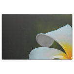 White Plumeria Frangipani Hawaii Flower Fabric