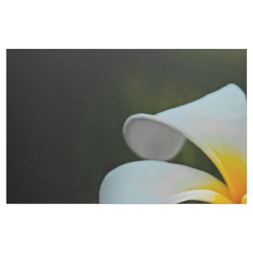White Plumeria Frangipani Hawaii Flower Fabric