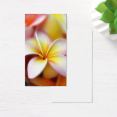 White Plumeria Frangipani Hawaii Flower Hawaiian (Desk)