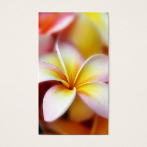Customizable White Plumeria Frangipani Hawaii Flower Hawaiian Business Card