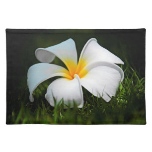 White Plumeria Frangipani Hawaii Flower Placemat