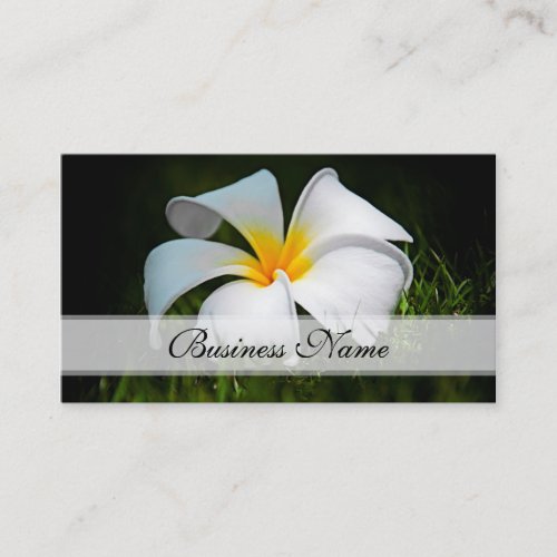 White Plumeria Frangipani Hawaii Flowers Business Card