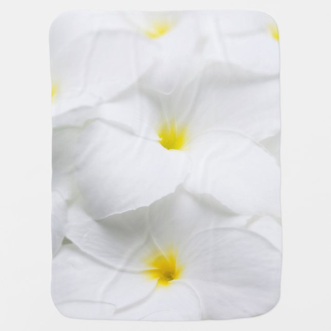 White Plumeria Frangipani Hawaiian Tropical Flower Stroller Blanket (Front)
