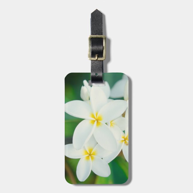 White Plumeria Luggage Tag (Front Vertical)