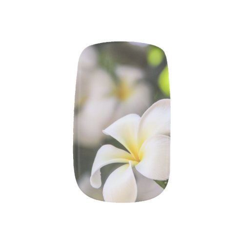 White Plumeria Nail Art