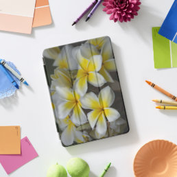 White Plumeria, Nature Photography iPad Pro Cover