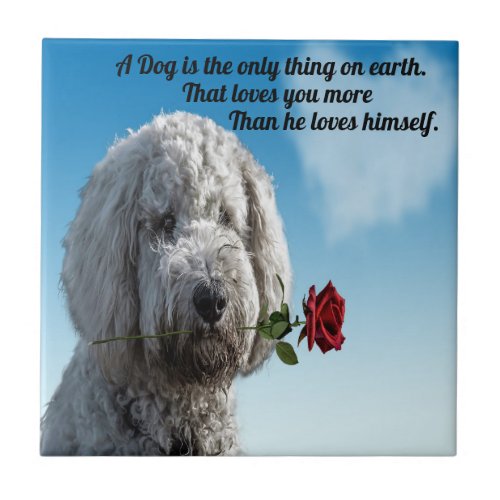 White poddle dog puppy with a red rose Dog Quote Tile