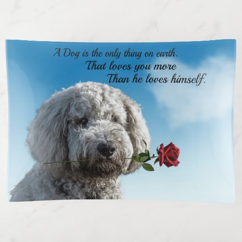 White poddle dog puppy with a red rose Dog Quote Trinket Tray