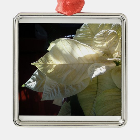White Poinsettia Detail (in color) Metal Ornament