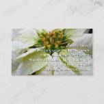 White Poinsettia Elegant Christmas Holiday Floral Business Card