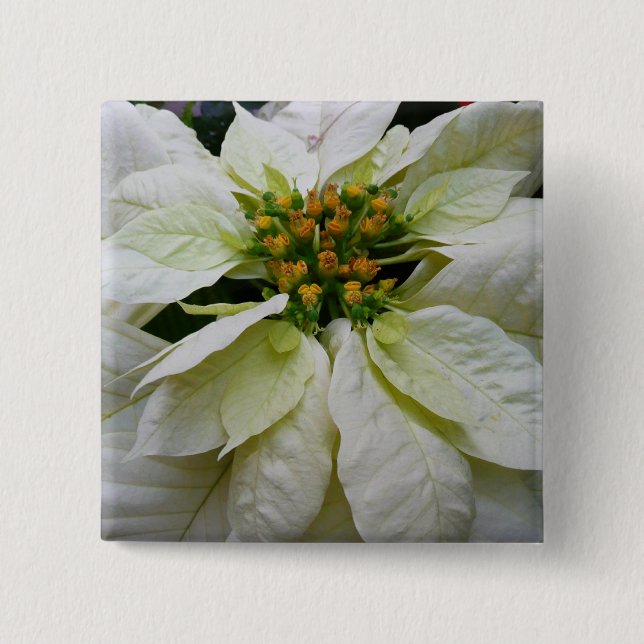 White Poinsettia Elegant Christmas Holiday Floral Button (Front)