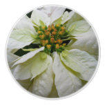 White Poinsettia Elegant Christmas Holiday Floral Ceramic Knob