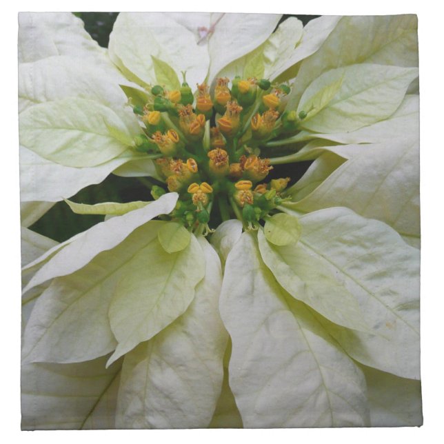White Poinsettia Elegant Christmas Holiday Floral Cloth Napkin (Front)
