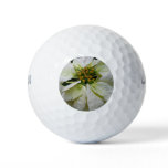 White Poinsettia Elegant Christmas Holiday Floral Golf Balls