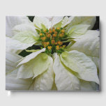 White Poinsettia Elegant Christmas Holiday Floral Guest Book