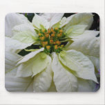 White Poinsettia Elegant Christmas Holiday Floral Mouse Pad