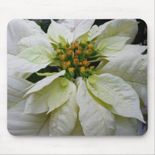 White Poinsettia Elegant Christmas Holiday Floral Mouse Pad