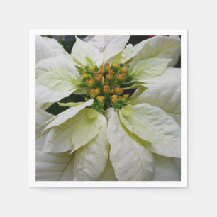 White Poinsettia Elegant Christmas Holiday Floral Napkins