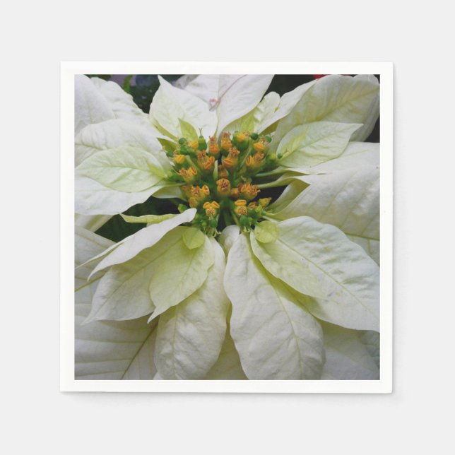 White Poinsettia Elegant Christmas Holiday Floral Napkins (Front)