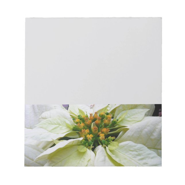 White Poinsettia Elegant Christmas Holiday Floral Notepad (Front)