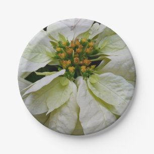 White Poinsettia Elegant Christmas Holiday Floral Paper Plates