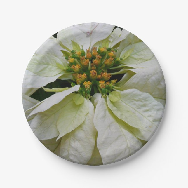 White Poinsettia Elegant Christmas Holiday Floral Paper Plates (Front)