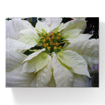 White Poinsettia Elegant Christmas Holiday Floral Paperweight