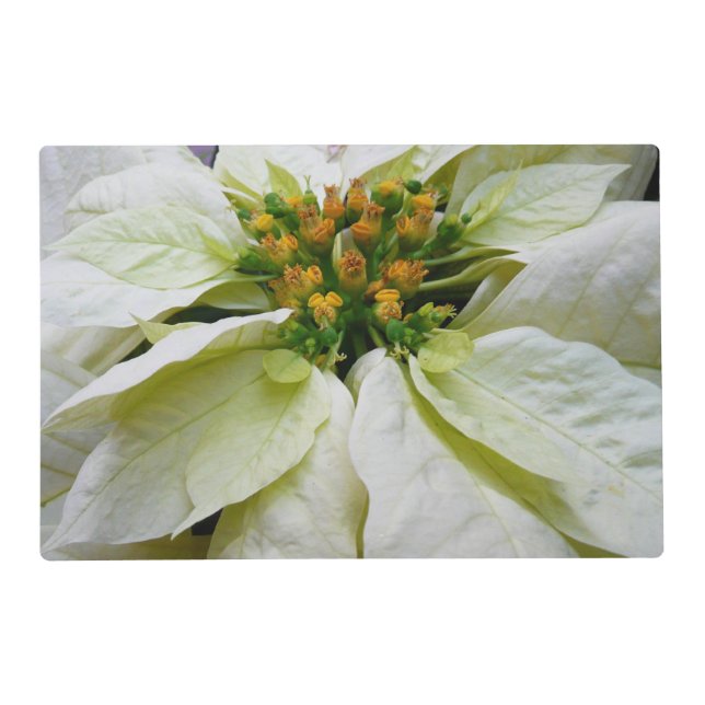 White Poinsettia Elegant Christmas Holiday Floral Placemat (Front)