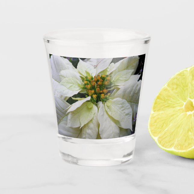 White Poinsettia Elegant Christmas Holiday Floral Shot Glass (Front)