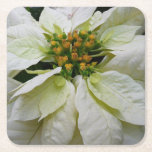 White Poinsettia Elegant Christmas Holiday Floral Square Paper Coaster