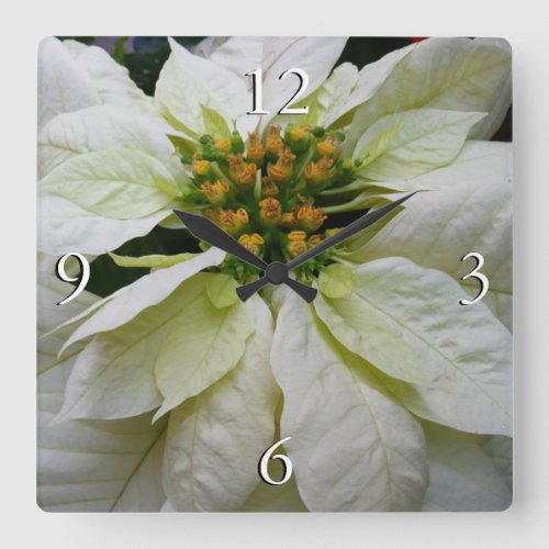 White Poinsettia Elegant Christmas Holiday Floral Square Wall Clock