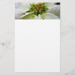 White Poinsettia Elegant Christmas Holiday Floral Stationery