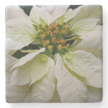 White Poinsettia Elegant Christmas Holiday Floral Stone Coaster