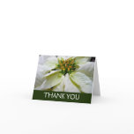 White Poinsettia Elegant Christmas Holiday Floral Thank You Card