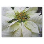 White Poinsettia Elegant Christmas Holiday Floral Tissue Paper