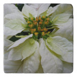 White Poinsettia Elegant Christmas Holiday Floral Trivet
