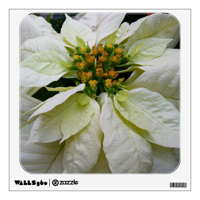 White Poinsettia Elegant Christmas Holiday Floral Wall Decal (Front)