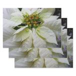 White Poinsettia Elegant Christmas Holiday Floral Wrapping Paper Sheets