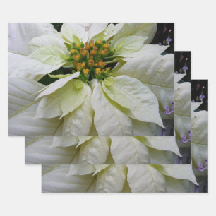 White Poinsettia Elegant Christmas Holiday Floral Wrapping Paper Sheets