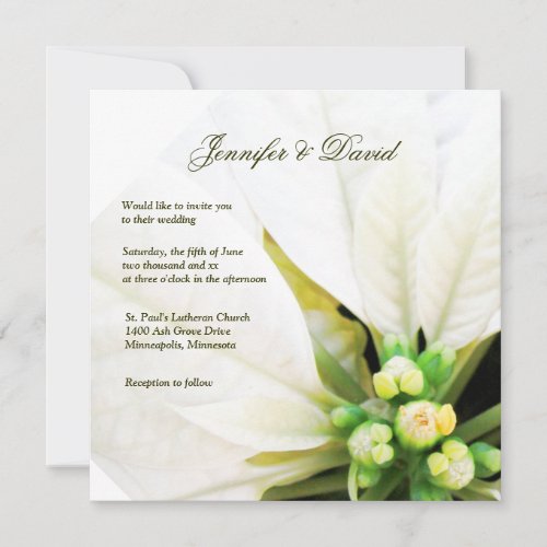 White Poinsettia Wedding Invitation