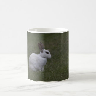 White Point Bunny Coffee Mug
