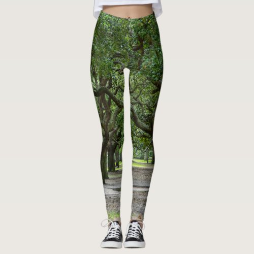 White Point Gardens Painterly Leggings