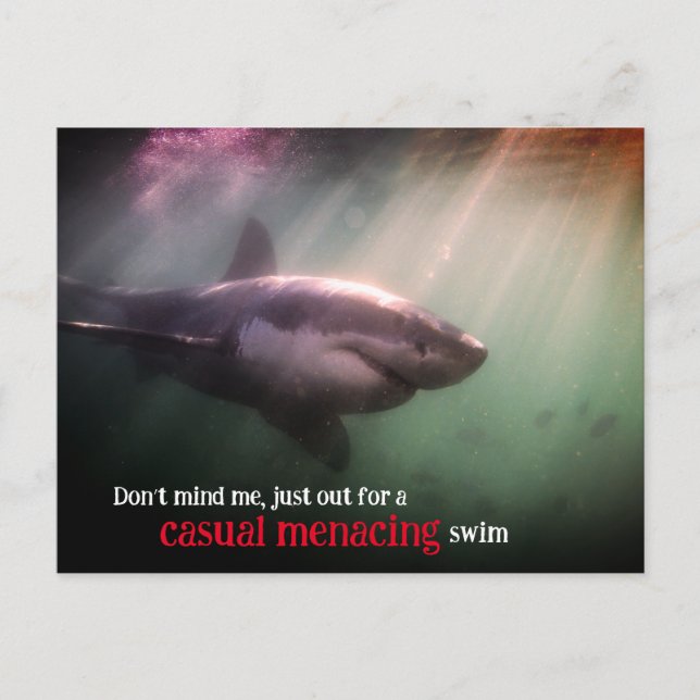 White pointer shark underwater holiday postcard (Front)