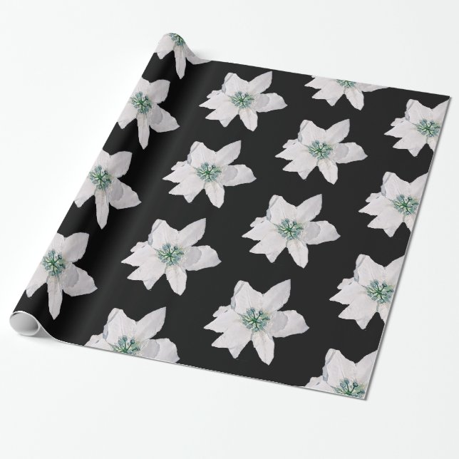 White Pointsetta Christmas Wrapping Paper (Unrolled)
