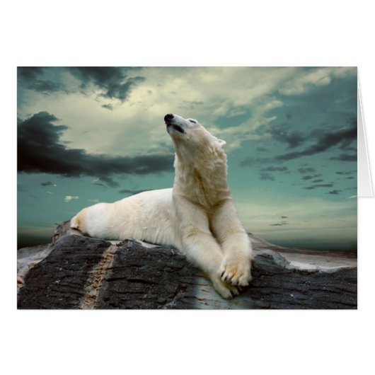 White Polar Bear Hunter on rock (Front Horizontal)